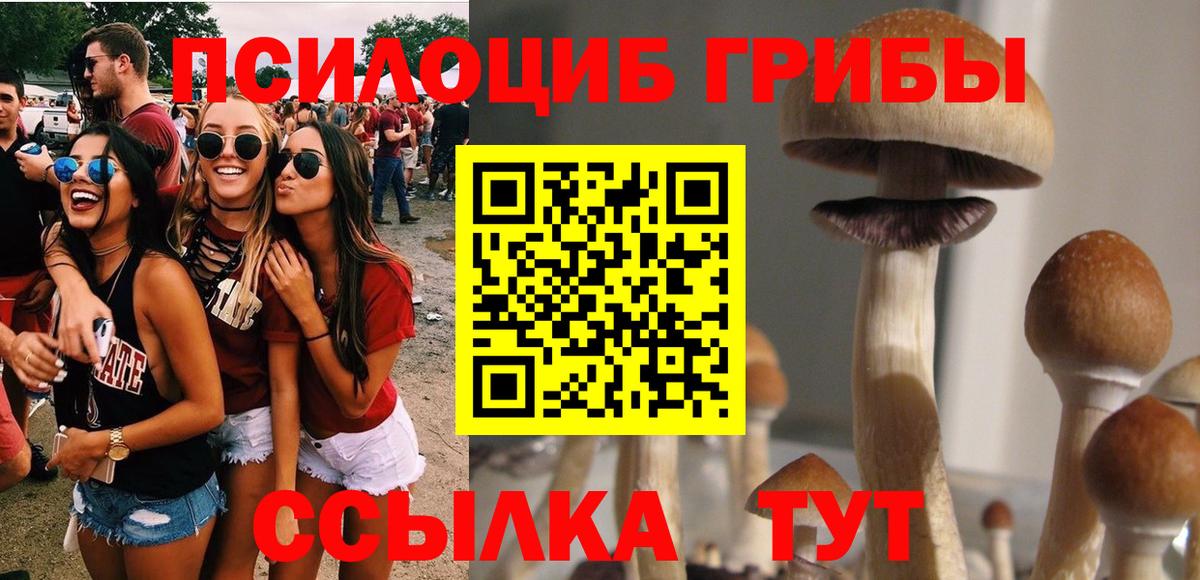 Галлюциногенные грибы прущие грибы Междуреченск