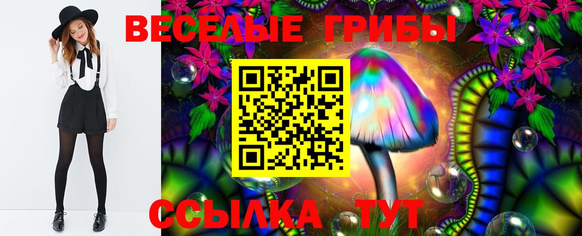 Междуреченск  Псилоцибиновые грибы прущие грибы  Вход с VPN 